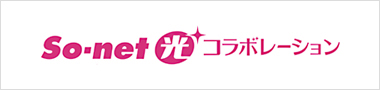 so-net 光コラボレーション